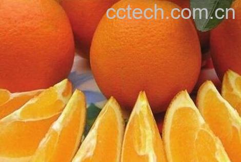 吃脐橙上火吗 脐橙煮着吃有什么好处-1