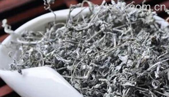 莓茶的功效与作用 莓茶的禁忌-0