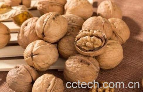 核桃怎么挑选 核桃的选购技巧-0