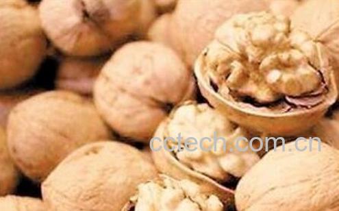 核桃怎么挑选 核桃的选购技巧-1