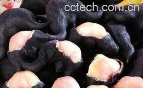 菱角怎么吃最好吃 菱角和什么一起吃最好-0