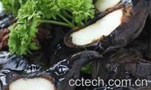 菱角怎么吃最好吃 菱角和什么一起吃最好-1