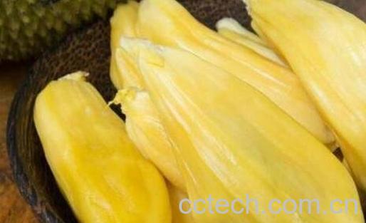 菠萝蜜怎么吃 吃菠萝蜜有什么禁忌-1