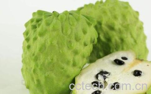 释迦果怎么看熟没熟 释迦果怎么催熟-1