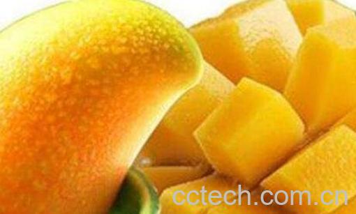 孕妇可以吃芒果吗 孕妇吃芒果的好处和坏处-1