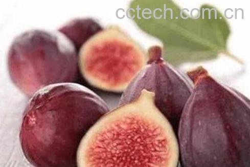 无花果怎么吃最好 吃无花果的禁忌-0