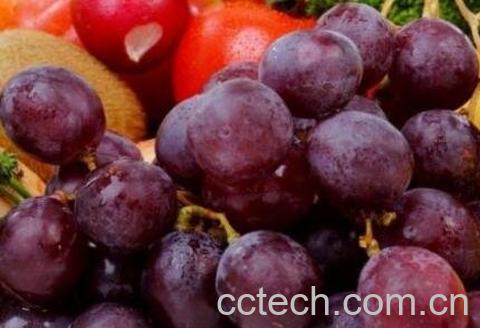葡萄皮的功效与作用-1