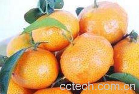 蛇床子的功效与作用及常见用法-0