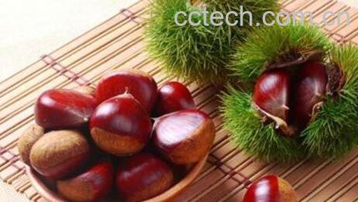 剥生板栗皮的最快方法 生板栗怎么吃好-0