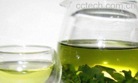 桑叶茶不适合什么人喝 桑叶茶的制作方法-0