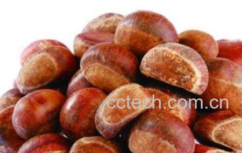 剥生板栗皮的最快方法 生板栗怎么吃好-1