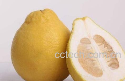 吃柚子的好处有哪些 吃柚子的坏处-0