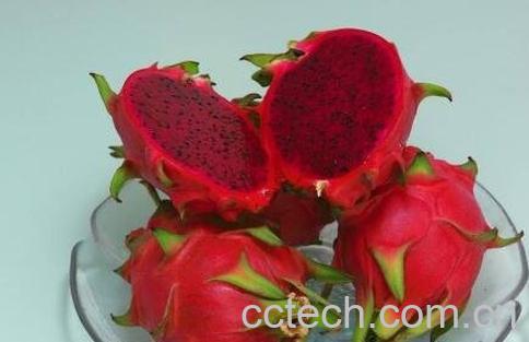 火龙果上火吗 吃火龙果有什么作用-1