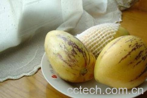 人参果怎么吃图解 吃人参果的禁忌-0