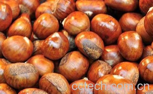 板栗怎么保存不会坏-1