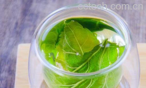 桑叶茶的功效与作用 喝桑叶茶的好处有哪些-1