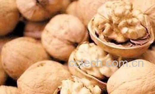 吃核桃的好处与功效-1