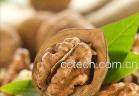 吃核桃的好处与功效-0
