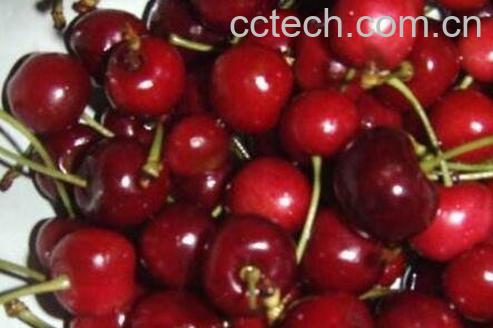 吃樱桃的好处和注意事项-0