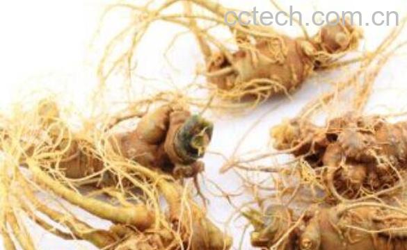 八宝茶的功效与作用 喝八宝茶有什么好处-1