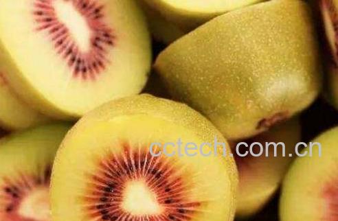猕猴桃怎么吃才正确 猕猴桃的正确吃法-0