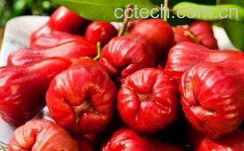 莲雾怎么吃图解法-0