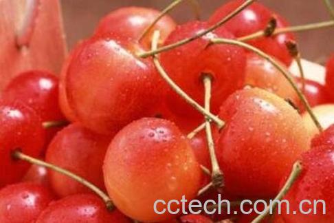 樱桃怎么保存 樱桃保鲜方法技巧-1