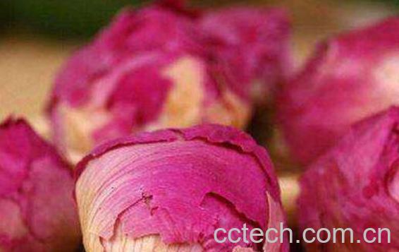 牡丹花茶怎么泡 喝牡丹花茶有什么好处-0