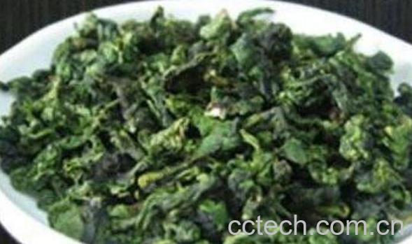 全松茶的功效与作用 全松茶有什么功效-1