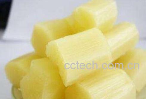 吃甘蔗的好处和坏处-0