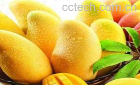 吃芒果上火吗 吃芒果上火怎么办-0