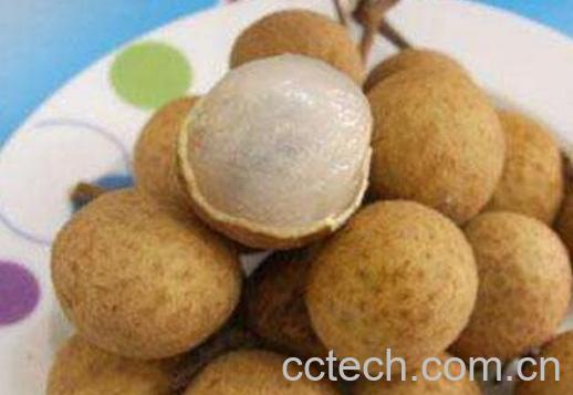 新鲜龙眼的功效与作用-1