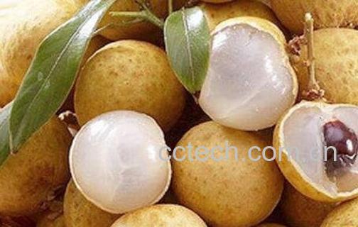 新鲜龙眼的功效与作用-0