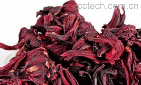 洛神花的功效与作用 洛神花怎么处理-0