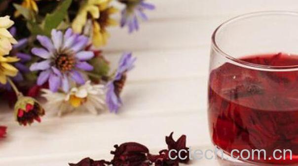 洛神花的功效与作用 洛神花怎么处理-1