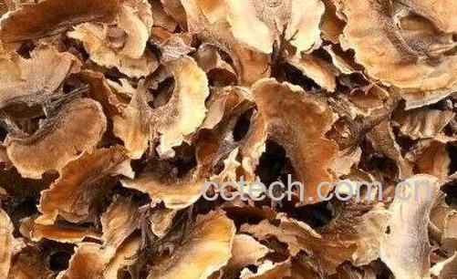 核桃分心木的功效与作用-1