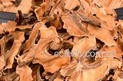 核桃分心木的功效与作用-0