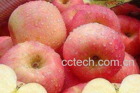怎么保存苹果 苹果保存方法技巧-1