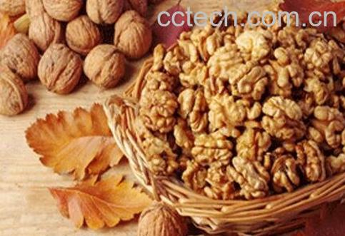 核桃仁皮的功效与作用-0