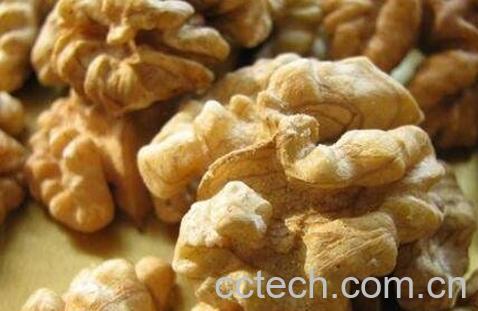 核桃仁皮的功效与作用-1