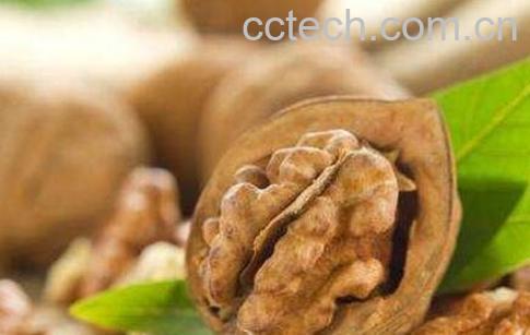 煮核桃壳有什么功效与作用-0