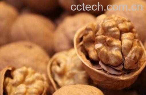 煮核桃壳有什么功效与作用-1
