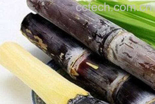 甘蔗为什么要烤一下 烤甘蔗的功效与作用-0