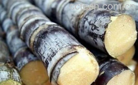 甘蔗为什么要烤一下 烤甘蔗的功效与作用-1