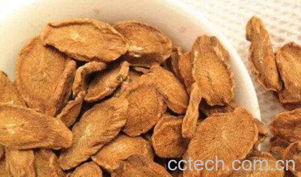 牛蒡茶能降血糖吗 牛蒡茶不适合什么人喝-0