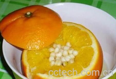 蒸橙子川贝的功效与作用-0