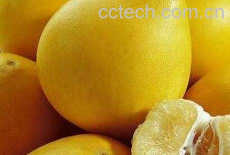 吃柚子的好处与注意事项-0