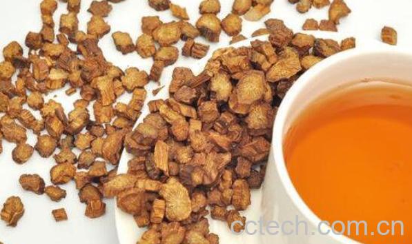 牛蒡茶的功效与作用 喝牛蒡茶的禁忌-0