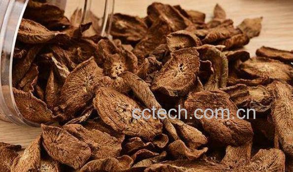 牛蒡茶的功效与作用 喝牛蒡茶的禁忌-1