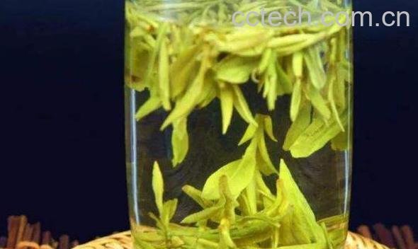 茶多酚的功效与作用有哪些-1